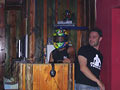 Enigma CocktaIL  Bar - Alykes Zakyntos Zante Greece