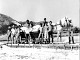 Photo Gallery - Salt Works in Alykes in the 70's - Zakynthos Greece