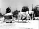 Photo Gallery - Salt Works in Alykes in the 70's - Zakynthos Greece