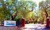 Camping Paradise - Psarou Zante