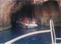 Golden Dolphin Watersports - Alykes Zakynthos Greece