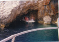 Golden Dolphin Watersports - Alykes Zakynthos Greece