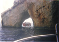 Golden Dolphin Watersports - Alykes Zakynthos Greece