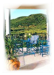 Regina Apartments Studios in Alykanas Zakynthos Zante Greece